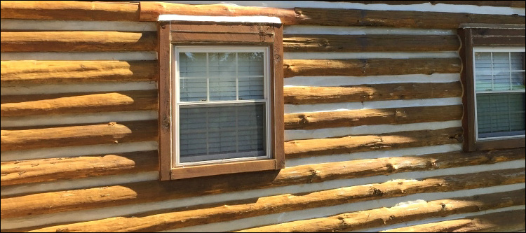 Log Home Whole Log Replacement  Marietta, Georgia